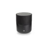Bluesound PULSE M
