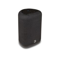 Alternative view of Bluesound Pulse Flex (P130) Multi Room Bluetooth Speaker