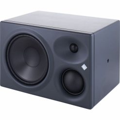 Neumann KH 310 A R G - Three Way Nearfield Monitor (Right)